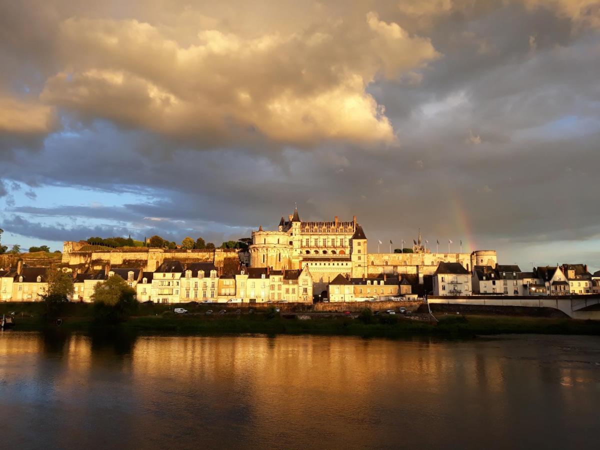 La Petite Lucette Villa Amboise Dış mekan fotoğraf