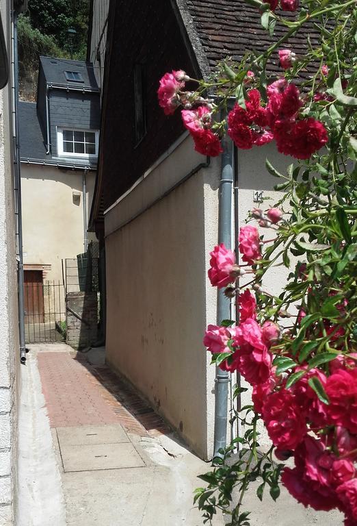 La Petite Lucette Villa Amboise Dış mekan fotoğraf